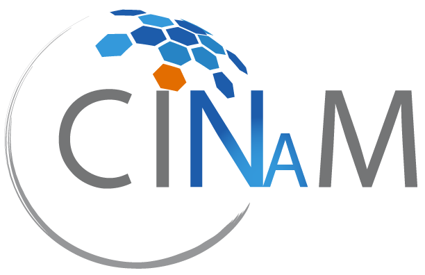 CINaM