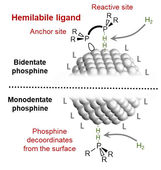 ChemNanoMat2026